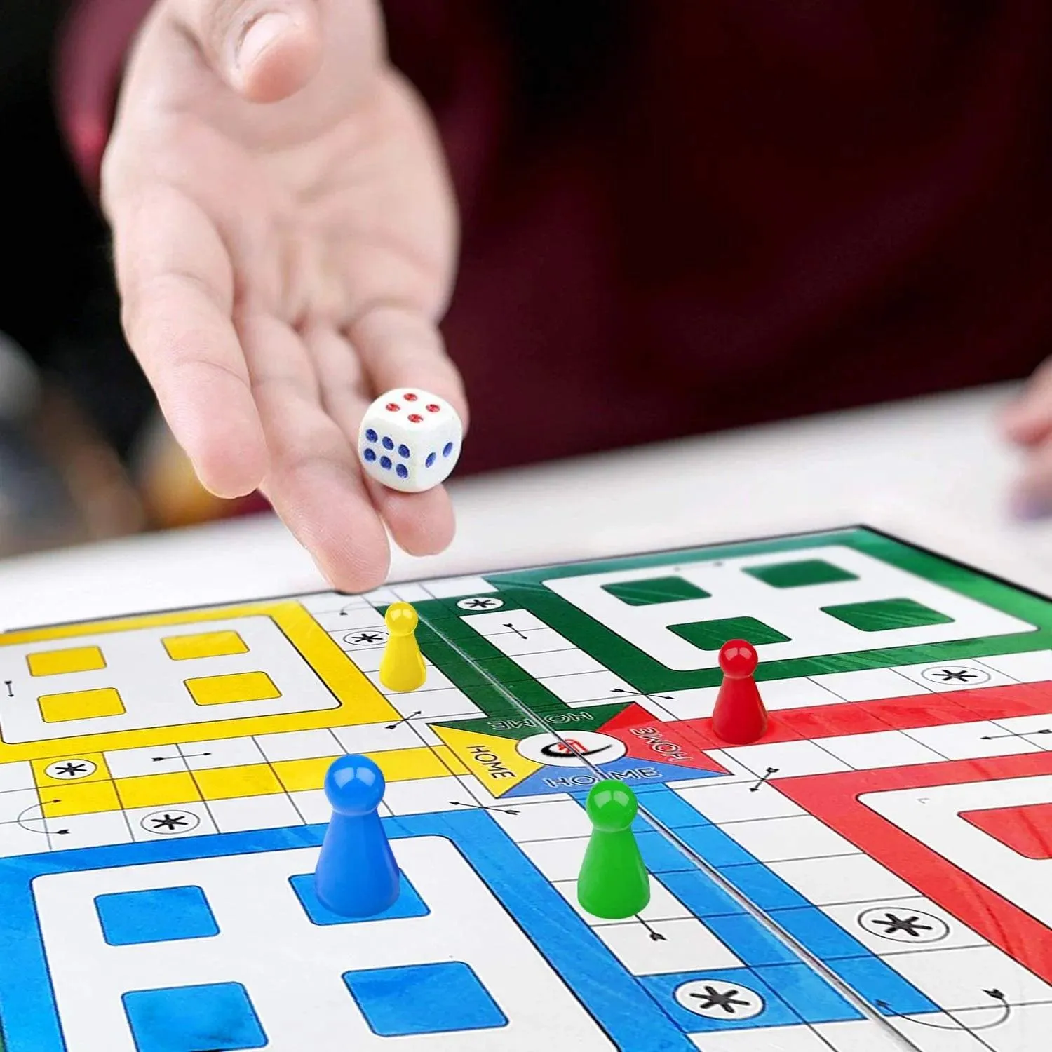 2 in 1 Board Game Combo (Ludo   Snake & Ladders) Fun Board Game