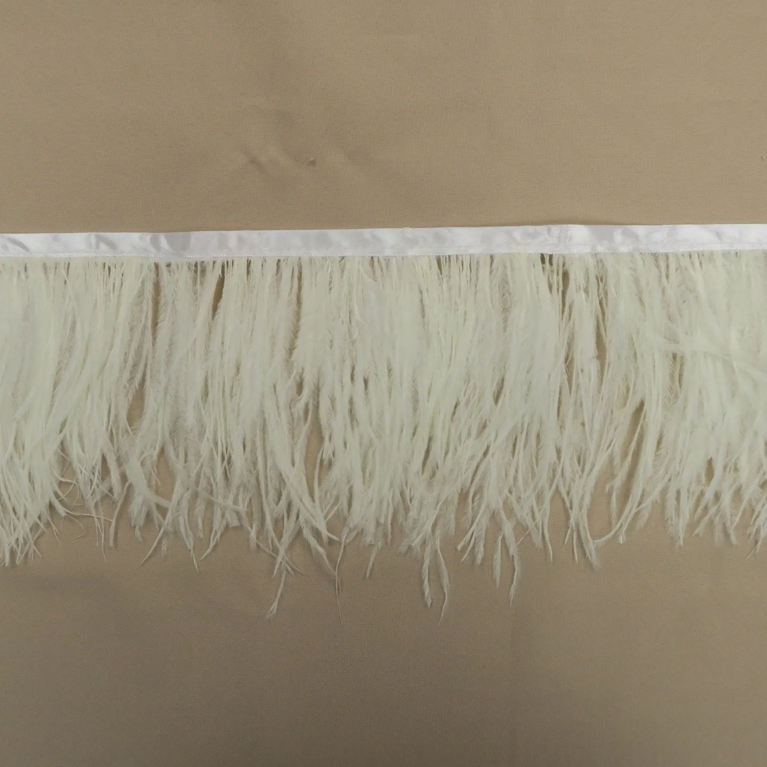 Cream Ostrich Feather Trim 2 PLY