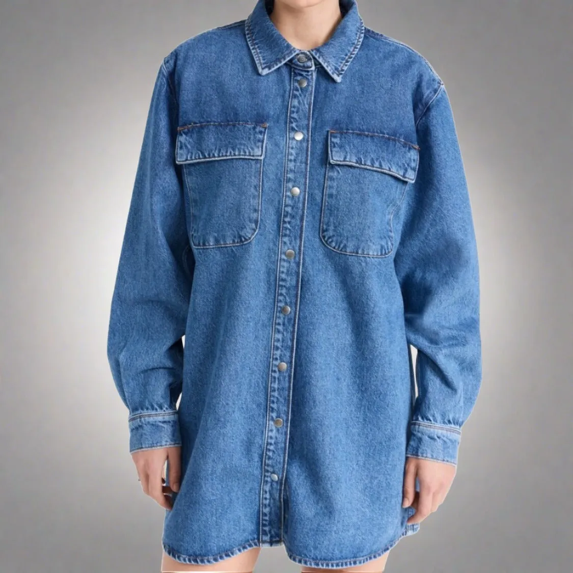 FRAME Denim A-Line Shirt Dress