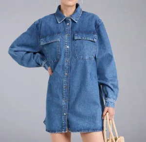 FRAME Denim A-Line Shirt Dress