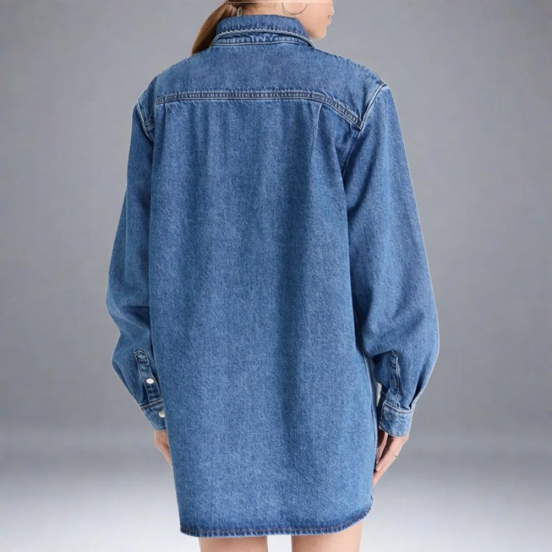 FRAME Denim A-Line Shirt Dress